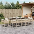 vidaXL 15 Piece Patio Dining Set with Cushions Beige Poly Rattan