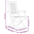 vidaXL Folding Patio Chairs 8 pcs 20.9