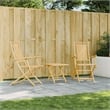 vidaXL Folding Patio Chairs 2 pcs 20.9