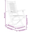 vidaXL Folding Patio Chairs 2 pcs 20.9