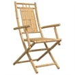 vidaXL Folding Patio Chairs 2 pcs 20.9