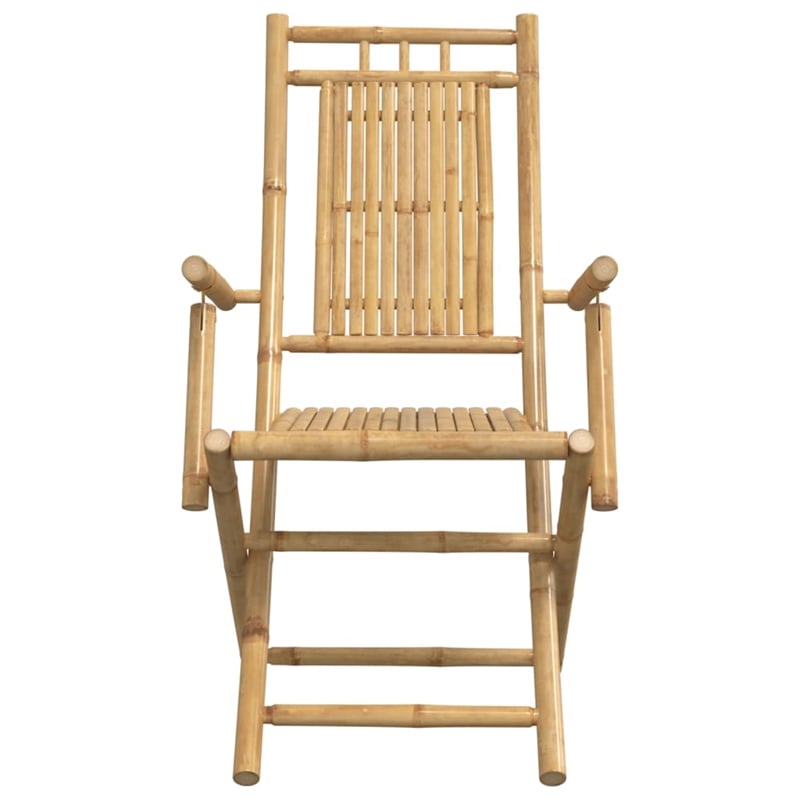 vidaXL Folding Patio Chairs 2 pcs 20.9