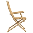vidaXL Folding Patio Chairs 2 pcs 20.9