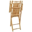 vidaXL Folding Patio Chairs 2 pcs 20.9