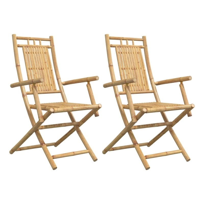 vidaXL Folding Patio Chairs 2 pcs 20.9