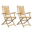 vidaXL Folding Patio Chairs 2 pcs 20.9