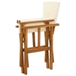 vidaXL Director's Chair Solid Acacia Wood