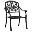 vidaXL Patio Chairs 2 pcs Cast Aluminum Black