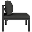 vidaXL Sectional Middle Sofa with Cushions Aluminum Anthracite
