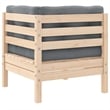 vidaXL 2-Seater Patio Sofa with Gray Cushions Solid Pinewood