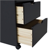 Jela Solid Wood 6+2 Drawer Wide Roll Cart in Black