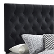 Fabric Upholstered Wooden Queen Size Bed with Bottom Drawers- Black