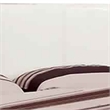 Leatherette Platform Style Queen Size Bed with Tapered Block Feet- White