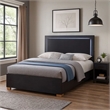 Dex Platform Queen Bed- Panel LED Headboard- Black Wood Melamine Finish