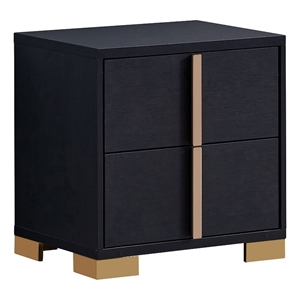 Dex 22 Inch Nightstand- 2 Drawers with Long Vertical Gold Handles- Black