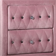 Zoha 26 Inch Nightstand- 2 Drawer- Cabriole Legs- Wood- Pink Upholstery