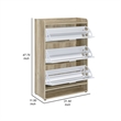 Danny Shoe Storage Cabinet- 3 Tiered- Bottom Shelf- Antiqued White Pine