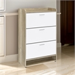 Danny Shoe Storage Cabinet- 3 Tiered- Bottom Shelf- Antiqued White Pine