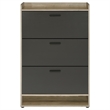 Danny Shoe Storage Cabinet- 3 Tiered- Bottom Shelf- Antiqued Gray Pine