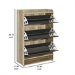 Danny Shoe Storage Cabinet- 3 Tiered- Bottom Shelf- Antiqued Gray Pine