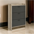 Danny Shoe Storage Cabinet- 3 Tiered- Bottom Shelf- Antiqued Gray Pine