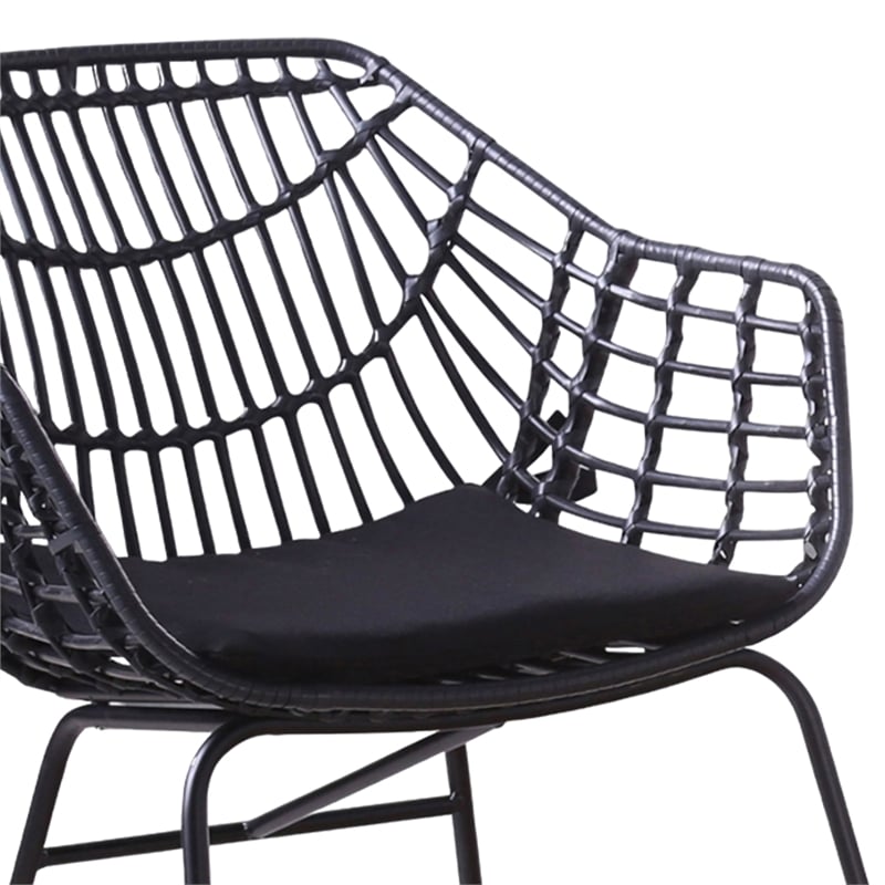 Niya Patio Chair Set of 2- Polyester- Black Steel- Outdoor Rattan Wicker