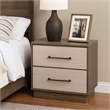 Fene Nightstand- 2 Storage Drawers with Nickel Handles- 24 Inch Gray