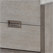 Rizvi Nightstand- 2 Drawers- Dustproof Cases