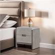 Rizvi Nightstand- 2 Drawers- Dustproof Cases
