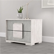 Nomi Nightstand- 2 Drawers and Melamine Top-24 Inch