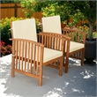 Kaila Outdoor Armchair Set of 2-Beige Cushions-Natural Brown Wood