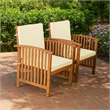 Kaila Outdoor Armchair Set of 2-Beige Cushions-Natural Brown Wood