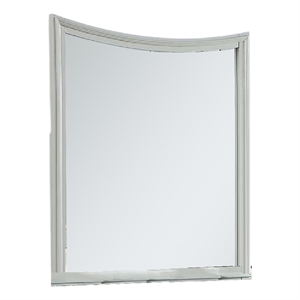 Roly Dresser Mirror-37 Inch Gray Rectangular Solid Wood Molded Frame