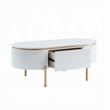 Tyce Oval Coffee Table with Drawer-47 Inch-Glossy White-Gold Metal