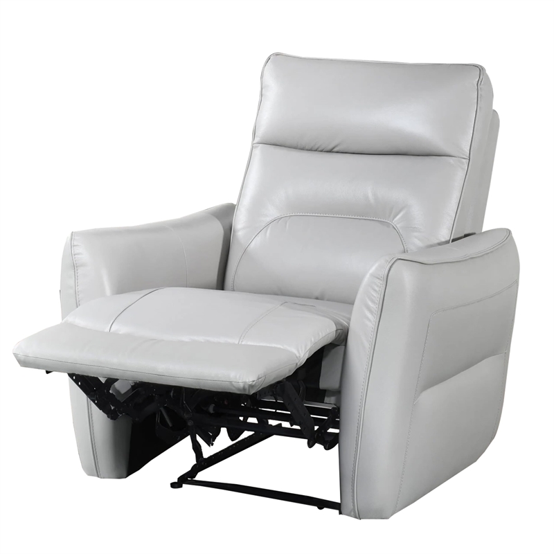 Teren Power Recliner Chair-Rich Taupe Leather Match-Foam