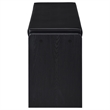 Aryn Storage Bench with Adjustable Shelf - Black Faux Leather - Black