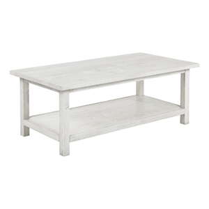 Ayne Coffee Table-1 Bottom Shelf-Distressed White Wood-47 Inch
