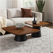 Eliana 2pc Coffee Table Set-Walnut Brown-Black Metal Frame