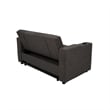 Soen Convertible Sofa w Pull Out Sleeper Bed- 2 Pillows- Charcoal Gray
