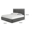 Zoko King Bed with Panel Style Headboard- Chrome- Ash Gray Solid Wood