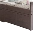 Mari Twin Captain Bed with Drawers- Rustic- Brazilian Pine- Wood- Gray