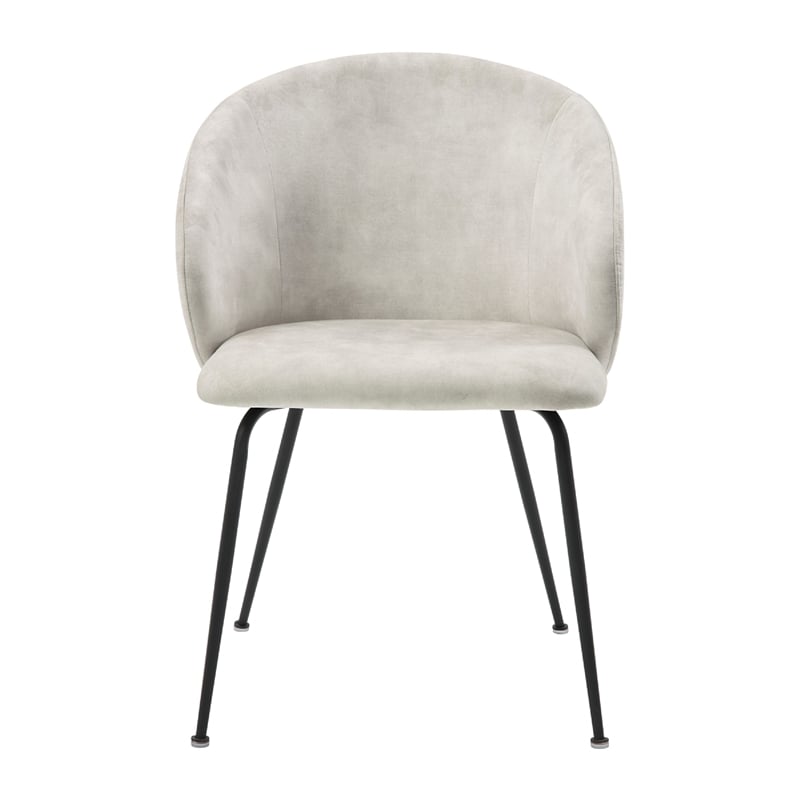 Salie Dining Chair Set of 2- Curved Back- Black Metal- Beige Velvet