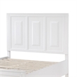 Thiem Queen Size Platform Bed with 2 Storage Drawers- White Wood Finish