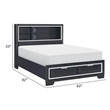 Rosy Queen Bed- 2 Storage Drawers- Bookcase- Midnight Blue Wood- Chrome