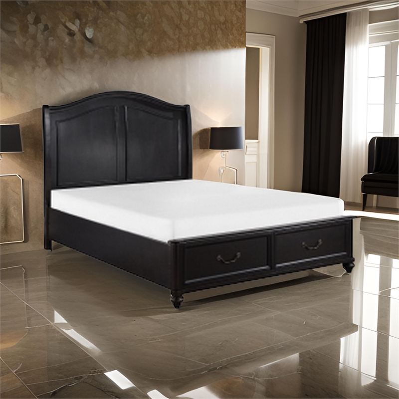 Vix Queen Size Platform Bed- Panel Arch Design- 2 Storage Drawers- Black