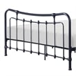 Ryan Twin Size Metal Bed- Platform Foundation- Black Curved Spindle Frame