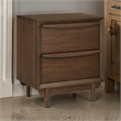 Soly 27 Inch Nightstand- 2 Drawers- USB Port- Lip Pull Handles- Brown