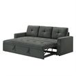 Biry Pull Out Sleeper Sofa Bed- Tufted Cushions- Dark Gray Fabric
