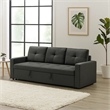 Biry Pull Out Sleeper Sofa Bed- Tufted Cushions- Dark Gray Fabric