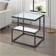 Elena End Table with 2-Tier Design- Glass Top and Shelf- Black Metal